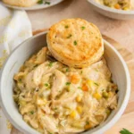 crock pot chicken pot pie 2025 07 15 084814 150x150 1