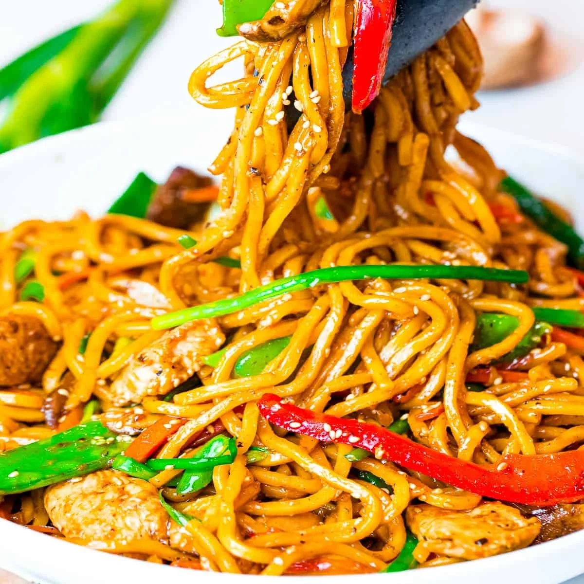 Plate of delicious chicken lo mein with vegetables and noodles